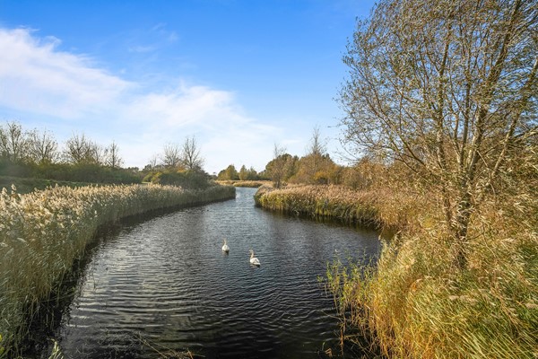 Medium property photo - Jan Peereboomstraat 25, 1785 GC Den Helder